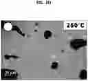 Fig. 08 - Composites with enhanced thermal conductivity and method preparing the same
