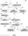 Fig. 11 - Systems and methods of cannabis oil extraction
