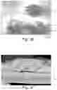 Fig. 04 - MICROBIAL DETECTION DEVICES AND METHODS OF USING THE SAME