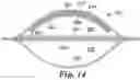 Fig. 10 - MICROBIAL DETECTION DEVICES AND METHODS OF USING THE SAME