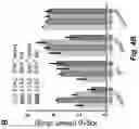 Fig. 08 - ENGINEERED COMMENSAL BACTERIA AND METHODS OF USE