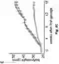 Fig. 09 - ENGINEERED COMMENSAL BACTERIA AND METHODS OF USE