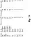 Fig. 25 - ENGINEERED COMMENSAL BACTERIA AND METHODS OF USE