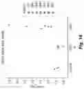 Fig. 27 - ENGINEERED COMMENSAL BACTERIA AND METHODS OF USE