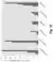 Fig. 29 - ENGINEERED COMMENSAL BACTERIA AND METHODS OF USE