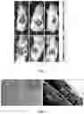 Fig. 04 - Thin film cell encapsulation devices