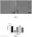Fig. 07 - Thin film cell encapsulation devices