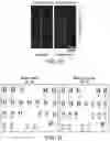 Fig. 07 - READY-TO-USE CRYOPRESERVED CELLS