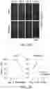 Fig. 09 - READY-TO-USE CRYOPRESERVED CELLS