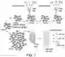 Fig. 22 - READY-TO-USE CRYOPRESERVED CELLS