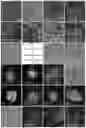 Fig. 01 - Method of producing naive pluripotent stem cells