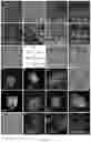 Fig. 02 - Method of producing naive pluripotent stem cells