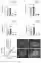 Fig. 03 - Method of producing naive pluripotent stem cells