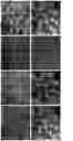 Fig. 07 - Method of producing naive pluripotent stem cells