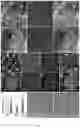 Fig. 15 - Method of producing naive pluripotent stem cells