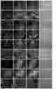 Fig. 17 - Method of producing naive pluripotent stem cells