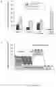 Fig. 24 - Method of producing naive pluripotent stem cells