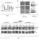 Fig. 06 - Agents and methods for treating and preventing seborrheic keratosis