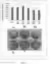 Fig. 10 - Agents and methods for treating and preventing seborrheic keratosis