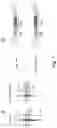 Fig. 02 - Redirected, genetically-engineered T regulatory cells and their use in suppression of autoimmune and inflammatory disease