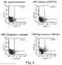 Fig. 03 - Redirected, genetically-engineered T regulatory cells and their use in suppression of autoimmune and inflammatory disease