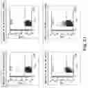Fig. 23 - Redirected, genetically-engineered T regulatory cells and their use in suppression of autoimmune and inflammatory disease