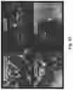 Fig. 25 - Redirected, genetically-engineered T regulatory cells and their use in suppression of autoimmune and inflammatory disease