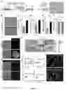 Fig. 02 - LIVER ORGANOID DISEASE MODELS AND METHODS OF MAKING AND USING SAME