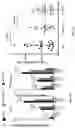 Fig. 08 - LIVER ORGANOID DISEASE MODELS AND METHODS OF MAKING AND USING SAME