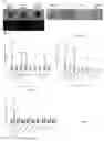 Fig. 12 - LIVER ORGANOID DISEASE MODELS AND METHODS OF MAKING AND USING SAME
