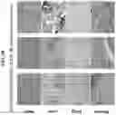 Fig. 11 - Adeno-associated virus (AAV) clade f vector and uses therefor