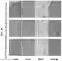 Fig. 12 - Adeno-associated virus (AAV) clade f vector and uses therefor