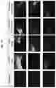 Fig. 13 - Adeno-associated virus (AAV) clade f vector and uses therefor