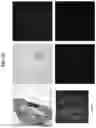 Fig. 16 - Adeno-associated virus (AAV) clade f vector and uses therefor