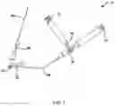 Fig. 19 - Adeno-associated virus (AAV) clade f vector and uses therefor