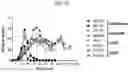 Fig. 24 - Adeno-associated virus (AAV) clade f vector and uses therefor