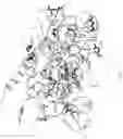Fig. 02 - Mutant enzymes