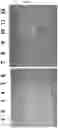 Fig. 02 - Rapid purification of high quality nucleic acids from biological samples