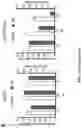 Fig. 20 - Recombinant HBV reporter system