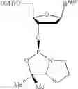 Fig. 261 - Oligonucleotide compositions and methods thereof