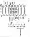 Fig. 28 - Oligonucleotide compositions and methods thereof