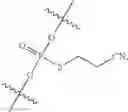 Fig. 352 - Oligonucleotide compositions and methods thereof