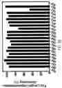 Fig. 49 - Oligonucleotide compositions and methods thereof