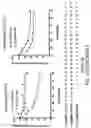 Fig. 55 - Oligonucleotide compositions and methods thereof