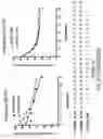 Fig. 57 - Oligonucleotide compositions and methods thereof