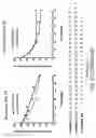 Fig. 58 - Oligonucleotide compositions and methods thereof