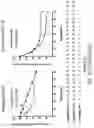 Fig. 59 - Oligonucleotide compositions and methods thereof