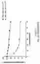 Fig. 62 - Oligonucleotide compositions and methods thereof