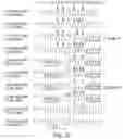 Fig. 79 - Oligonucleotide compositions and methods thereof