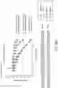 Fig. 92 - Oligonucleotide compositions and methods thereof